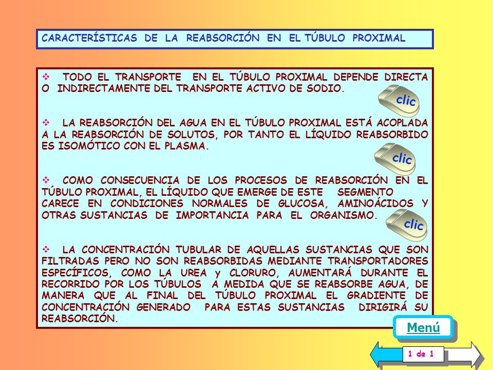 reabsorbido en la diabetes del túbulo proximal